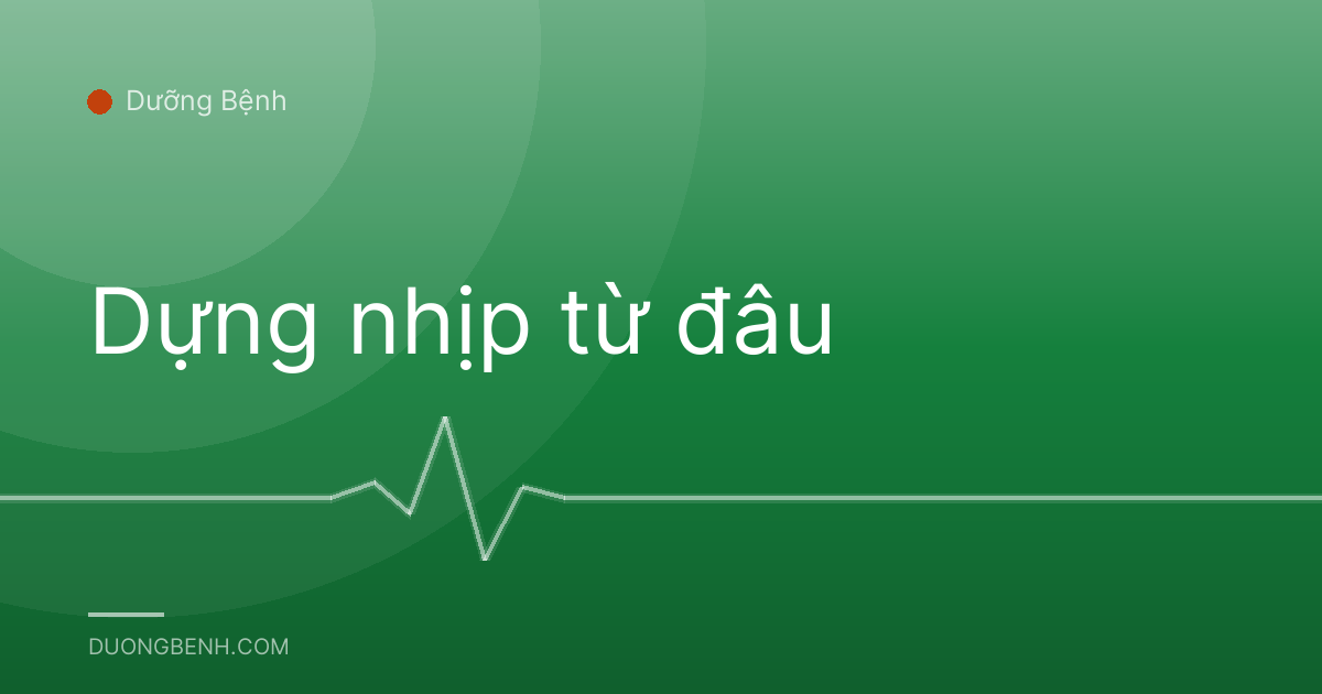 Dựng nhịp từ đâu